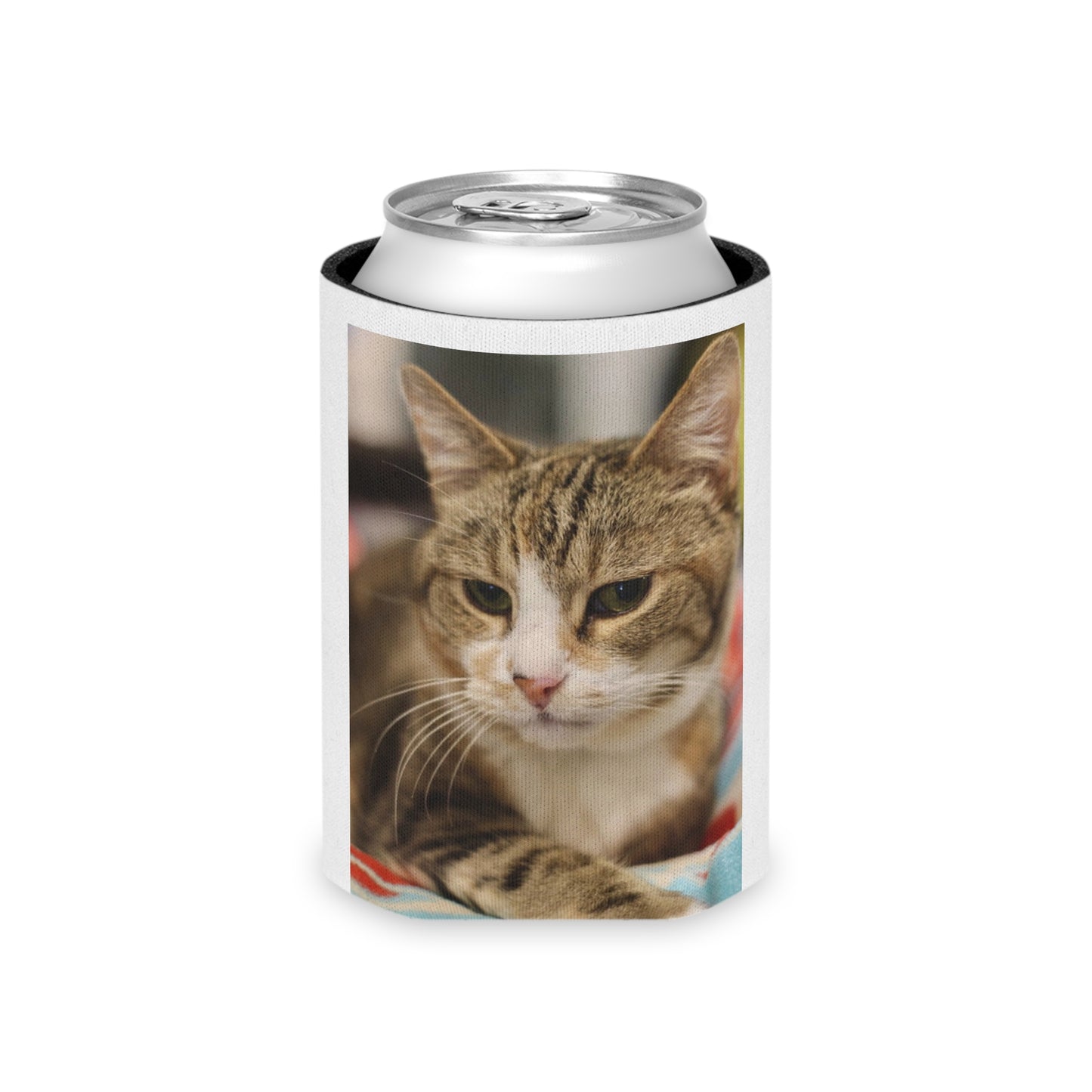 FFRC Kiara, Can Cooler